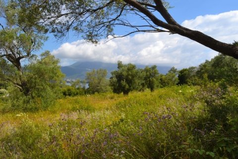 5500m² Land en Corfu, Greece No. 59153 10