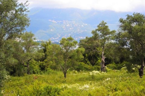 5500m² Land en Corfu, Greece No. 59153 9