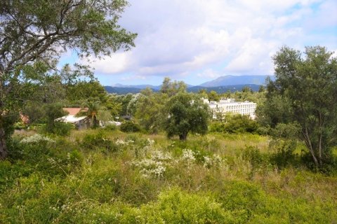 5500m² Land en Corfu, Greece No. 59153 4