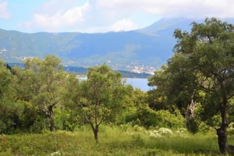 5500m² Land en Corfu, Greece No. 59153 1