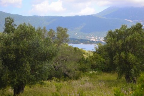 5500m² Land en Corfu, Greece No. 59153 5