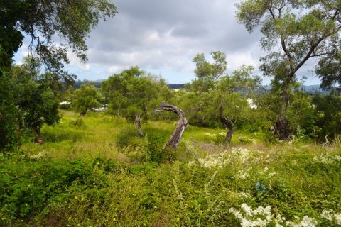 5500m² Land en Corfu, Greece No. 59153 8