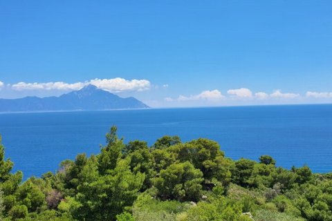 12000m² Land in Chalkidiki, Greece No. 59149 6