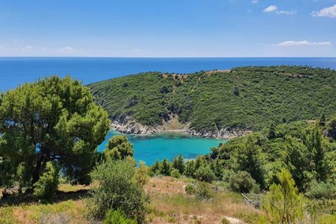 12000m² Land in Chalkidiki, Greece No. 59149 11