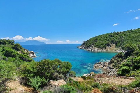 12000m² Land en Chalkidiki, Greece No. 59149 12