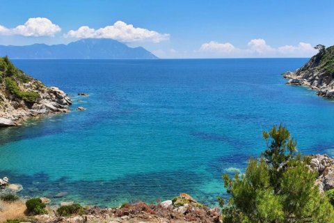 12000m² Land en Chalkidiki, Greece No. 59149 8