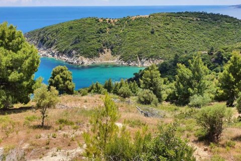 12000m² Land in Chalkidiki, Greece No. 59149 15