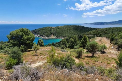 12000m² Land en Chalkidiki, Greece No. 59149 14