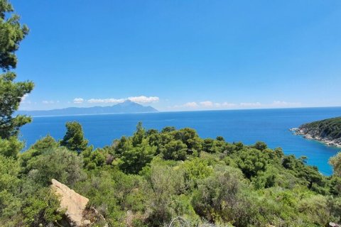 12000m² Land en Chalkidiki, Greece No. 59149 9