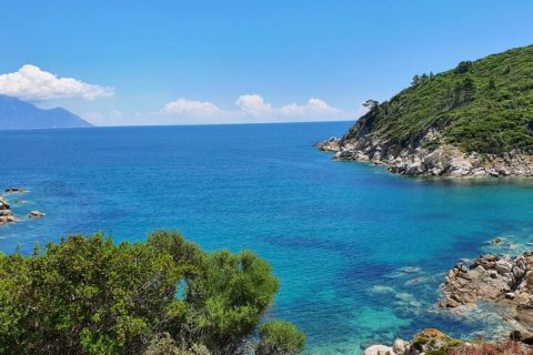 12000m² Land in Chalkidiki, Greece No. 59149 10