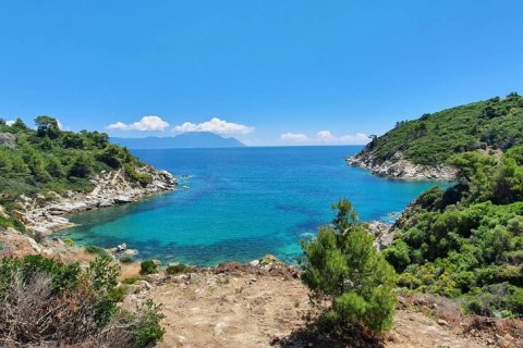 12000m² Land en Chalkidiki, Greece No. 59149 4