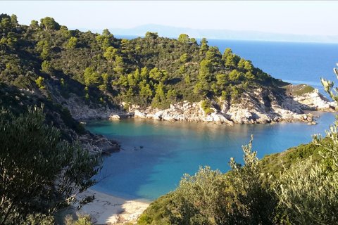 12000m² Land in Chalkidiki, Greece No. 59149 1