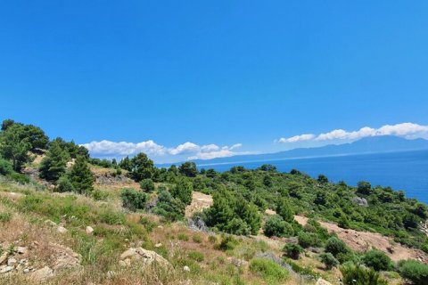 12000m² Land en Chalkidiki, Greece No. 59149 7