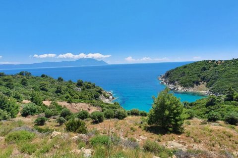 12000m² Land in Chalkidiki, Greece No. 59149 5