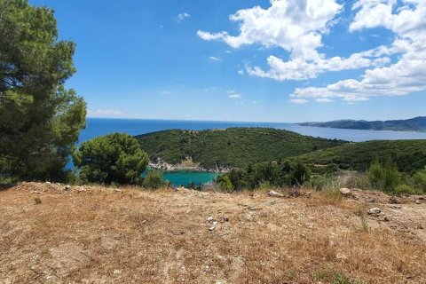 12000m² Land in Chalkidiki, Greece No. 59149 13