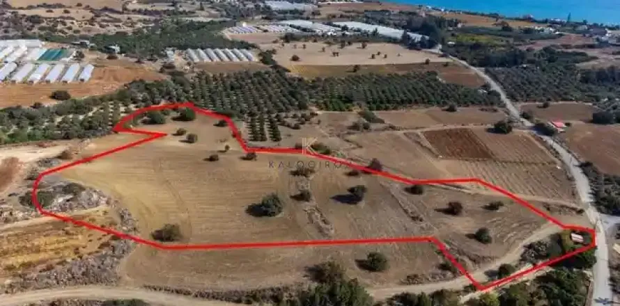 16389m² Land in Agios Theodoros, Cyprus No. 35517