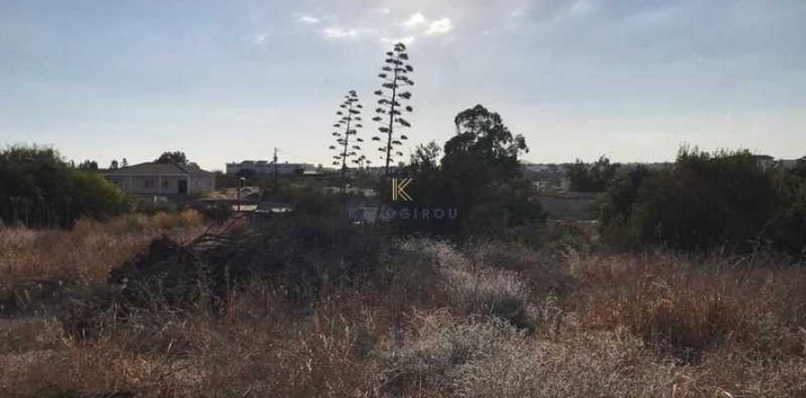 6355m² Land à Mazotos, Cyprus No. 35520