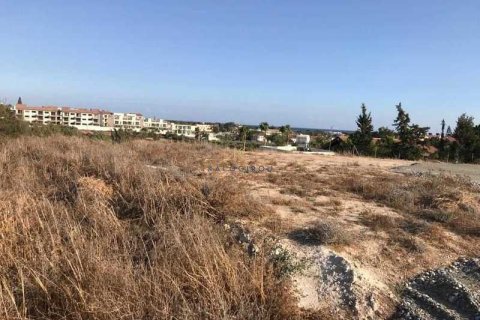 6355m² Land à Mazotos, Cyprus No. 35520 3