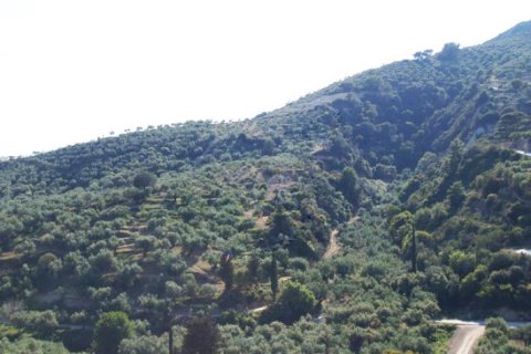 Land in Zakynthos, Greece No. 24766 4