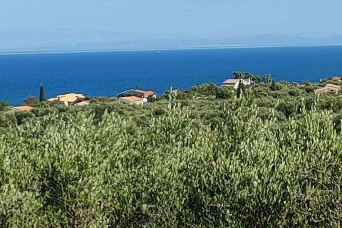 Land en Zakynthos, Greece No. 69523 5