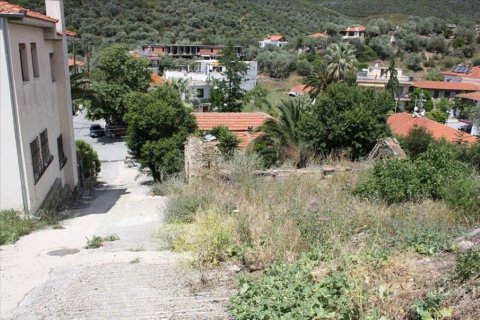 325m² Land in Chalkidiki, Greece No. 54355 1