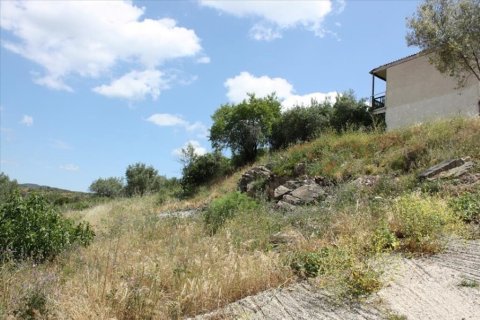 325m² Land in Chalkidiki, Greece No. 54355 4