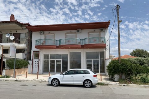 240m² Commercial property in Chalkidiki, Greece No. 56516 1