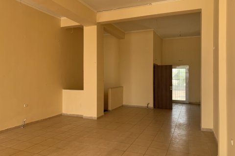 Коммерческая недвижимость 240м² в Халкидики, Греция №56516 3