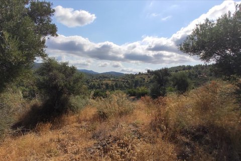 4188m² Land en Chalkidiki, Greece No. 56517 7