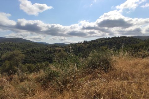 4188m² Land in Chalkidiki, Greece No. 56517 9