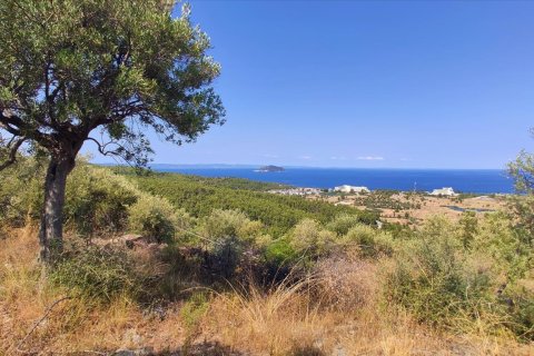 4188m² Land in Chalkidiki, Greece No. 56517 6