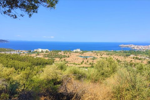 4188m² Land à Chalkidiki, Greece No. 56517 1