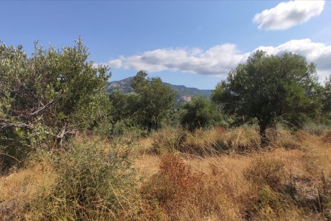 4188m² Land en Chalkidiki, Greece No. 56517 4