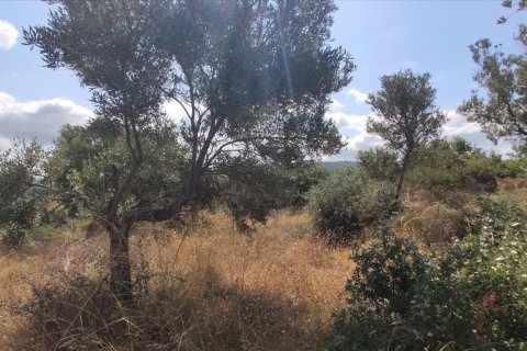 4188m² Land in Chalkidiki, Greece No. 56517 5