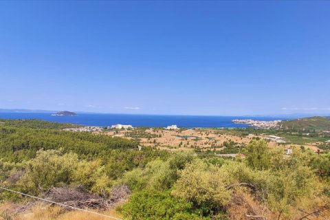 4188m² Land à Chalkidiki, Greece No. 56517 2