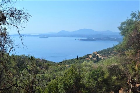 2500m² Land en Corfu, Greece No. 56519 1