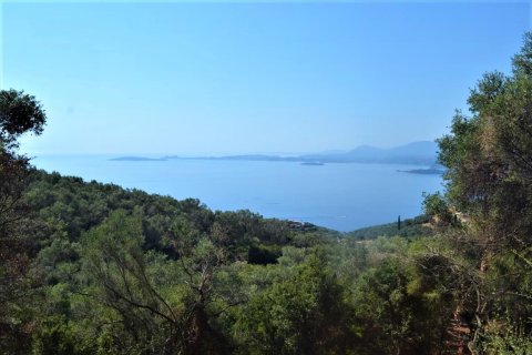 2500m² Land in Corfu, Greece No. 56519 10