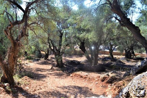 2500m² Land in Corfu, Greece No. 56519 4