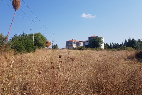 3255m² Land en Chalkidiki, Greece No. 56506 6