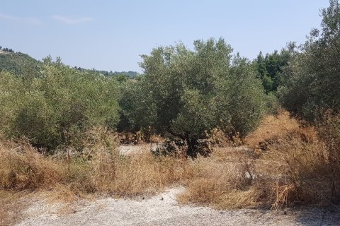 3255m² Land in Chalkidiki, Greece No. 56506 4