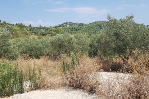 3255m² Land in Chalkidiki, Greece No. 56506 5