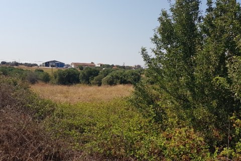 3255m² Land à Chalkidiki, Greece No. 56506 3