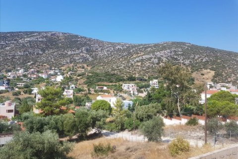 276m² House in Markopoulo Mesogaias, Greece No. 56504 21