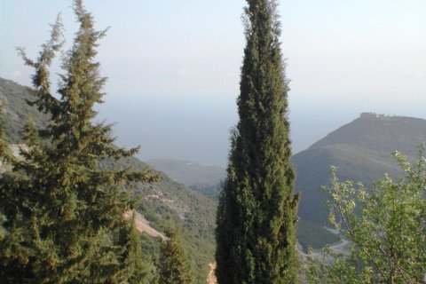 10000m² Land in Preveza, Greece No. 59964 7