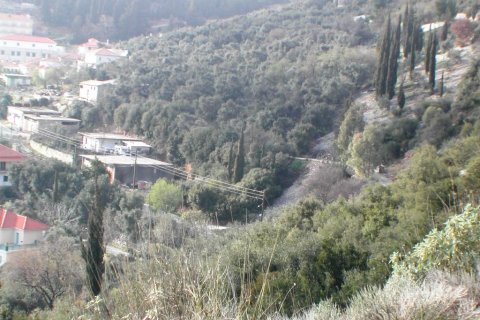 10000m² Land in Preveza, Greece No. 59964 8