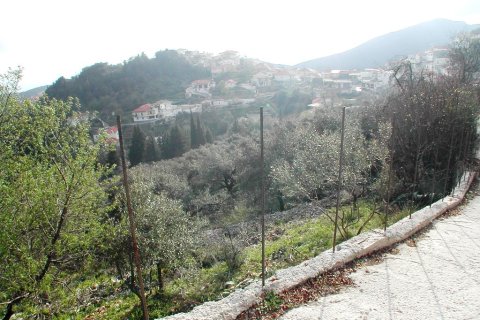 10000m² Land in Preveza, Greece No. 59964 6