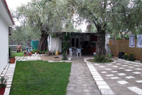 300m² Negocio en Thasos, Greece No. 60356 22