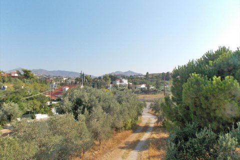 3000m² Land in Pallini, Greece No. 60197 1