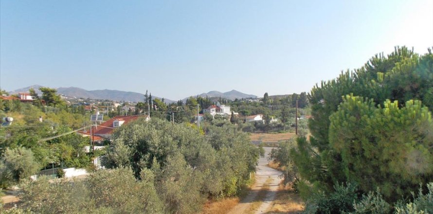 3000m² Land in Pallini, Greece No. 60197