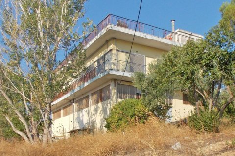 3000m² Land à Pallini, Greece No. 60197 3